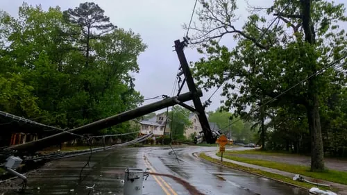 Emergency Tree Service / Servicio de Emergencia