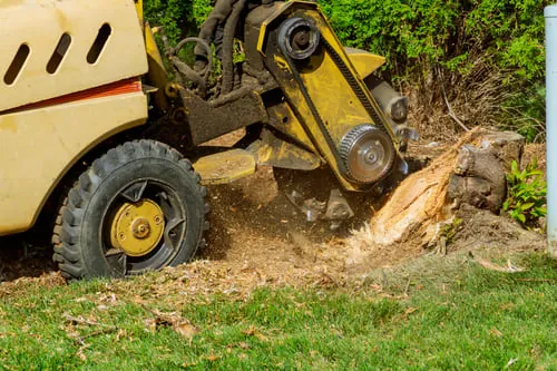 Stump Grinding & Removal / Remoción de Tocones
